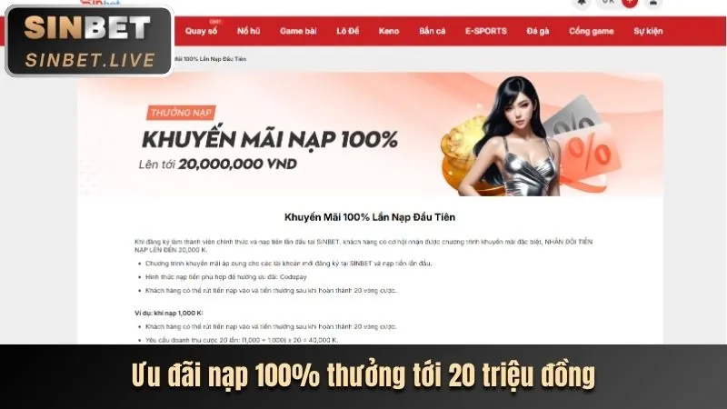Sử dụng thông tin người chơi Oke365